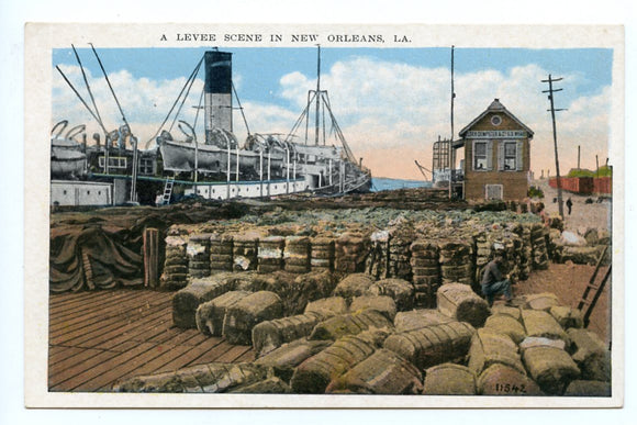 A Levee Scene in New Orleans, LA [Postcard]