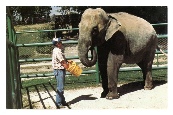 Frank Buck Zoo, Gainesville, TX [Postcard]