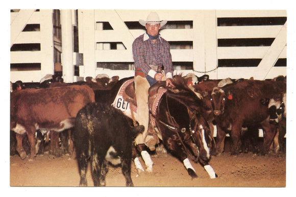 Smart Little Lena, World's Richest Cutting Horse, Gainesville, TX [Postcard]