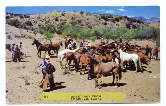 Greetings from Amarillo, TX [Postcard]