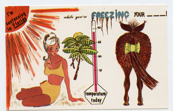 I'm Suntanning in Florida, While you're Freezing Your ___ [Postcard]