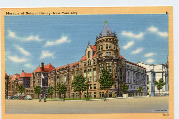Museum of Natural History, New York City, NY [Postcard]