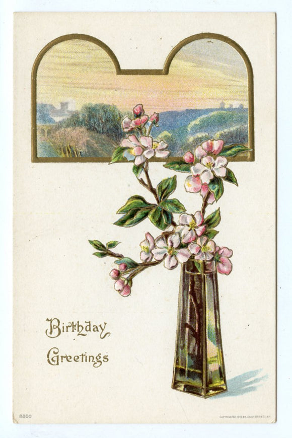Birthday Greetings [Postcard]