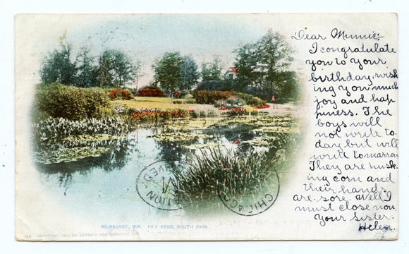 Lily Pond, South Park, Milwaukee, WI [Postcard]