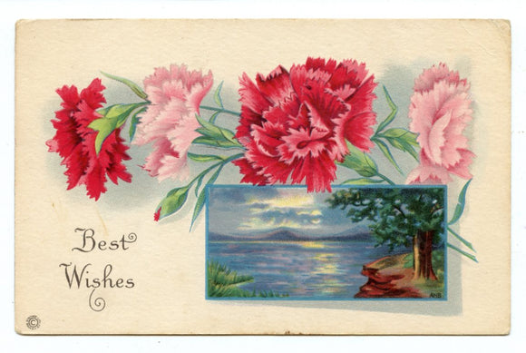 Best Wishes [Postcard]
