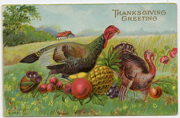 Thanksgiving Greeting