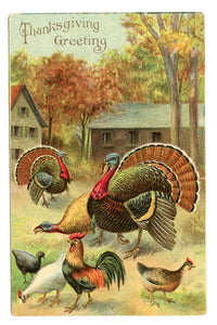 Thanksgiving Greeting