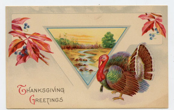 Thanksgiving Greetings [Postcard]