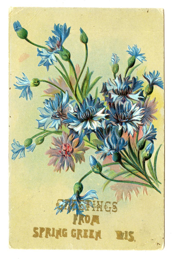Greetings from Spring Green, WI [Postcard]