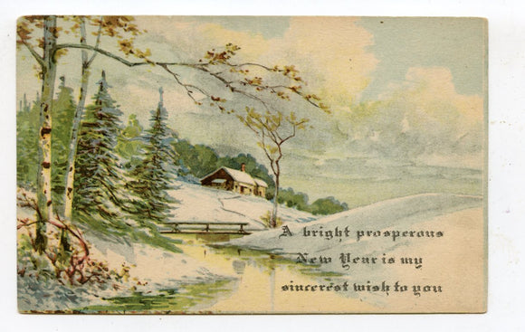 A Bright Prosperous New Year is My Sincere Wish to You [Postcard]