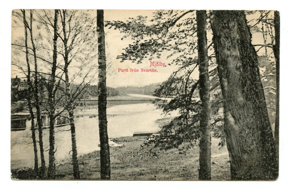 Parti Fran Svartan, Mjolby [Postcard]