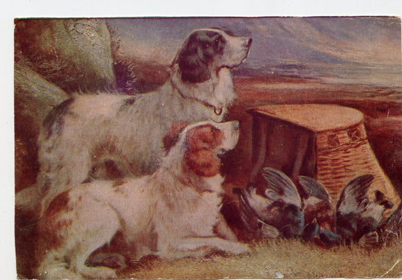 Two Hunting Dogs [Postcard]