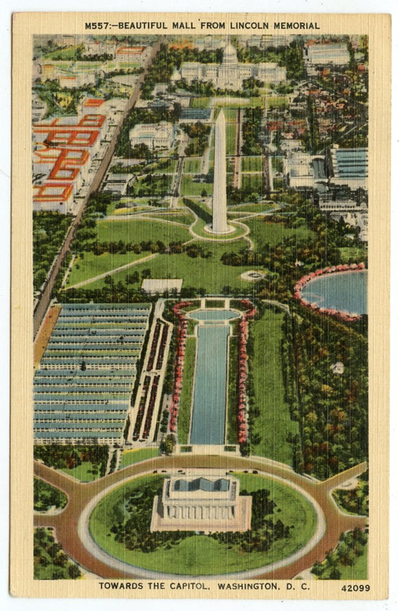 Beautiful Mall from the Lincoln Memorial Towards the Capitol, Washington, DC [Postcard]