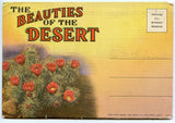 The Beauties of the Desert, Souvenir Folder [Postcard]