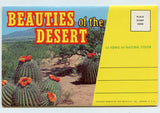Beauties of the Desert, Souvenir Folder [Postcard]