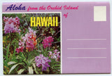 Aloha From the Orchid Island of Hawaii Souvenir Folder [Postcard]