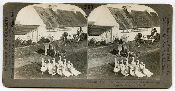The Home of a Prosperous Irish Farmer in County Kerry, Ireland [Stereoview]