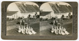 The Home of a Prosperous Irish Farmer in County Kerry, Ireland [Stereoview]