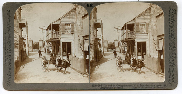 In Old St. George Street, N. to Spanish City Gate, St. Augustine, FL [Stereoview]