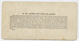 Japanese Rest House and Gardens, 1904 St. Louis World's Fair [Stereoview]