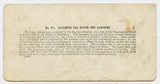 Japanese Tea House and Gardens, 1904 St. Louis World's Fair [Stereoview]