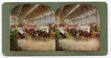 War Department Exhibit, 1904 St. Louis World's Fair [Stereoview]