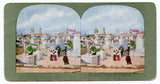 Grand Stairway and Cascade Gardens, 1904 St. Louis World's Fair [Stereoview]