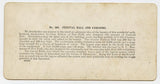 Festival Hall and Cascades, 1904 St. Louis World's Fair [Stereoview]