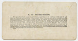 The Texas Building, 1904 St. Louis World's Fair [Stereoview]