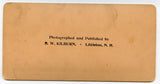 U. S. Field Trials, "Who Said Quail?" [Stereoview]