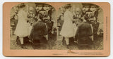 How Biddy Served Tomatoes UNDRESSED [Stereoview]