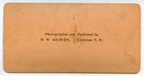 How Biddy Served Tomatoes UNDRESSED [Stereoview]