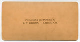 As a Lamb Without Blemish and Without Spot [Stereoview]