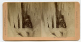 Jack Frost at Work [Stereoview]