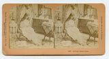 Adding a Dainty Touch [Stereoview]