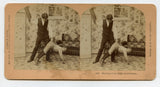 Meeting of the Board of Education [Stereoview]