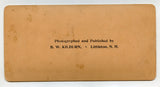 Meeting of the Board of Education [Stereoview]
