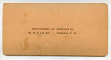 The Pope's Garden, Vatican, Rome [Stereoview]