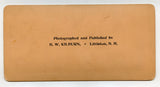 Simply to Thy Cross I Cling [Stereoview]
