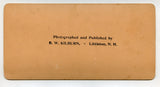 Beauties of the Davos Valley, Switzerland [Stereoview]