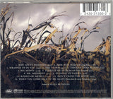 Scarecrow, by Garth Brooks - Carey's Emporium