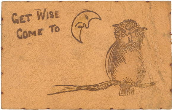 Get Wise, Come To_____...Moon Staring at an Owl - Carey's Emporium
