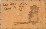 Get Wise, Come To_____...Moon Staring at an Owl - Carey's Emporium