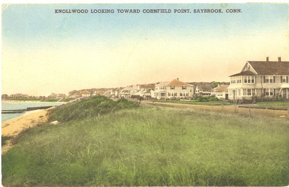 Knollwood Looking Toward Cornfield Point, Saybrook, CT - Carey's Emporium