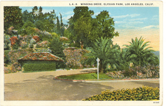 Winding Drive, Elysian Park, Los Angeles, CA - Carey's Emporium