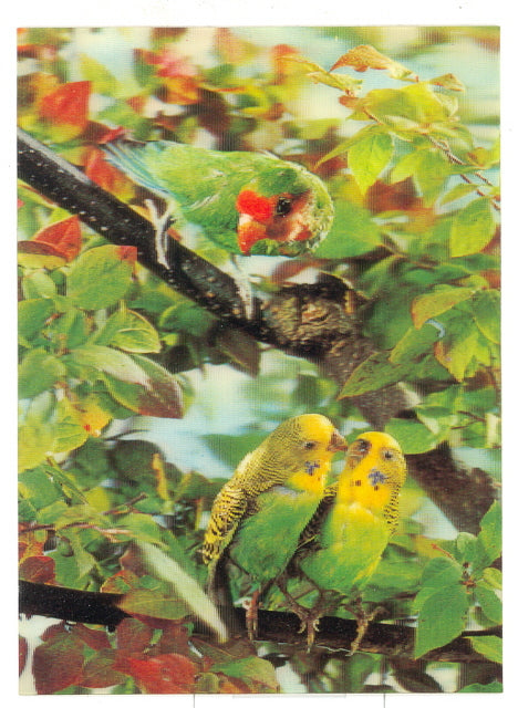 3-D Birds in a Tree - Carey's Emporium