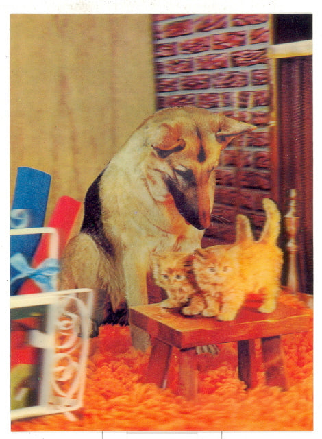 3-D German Shepherd and Kittens - Carey's Emporium