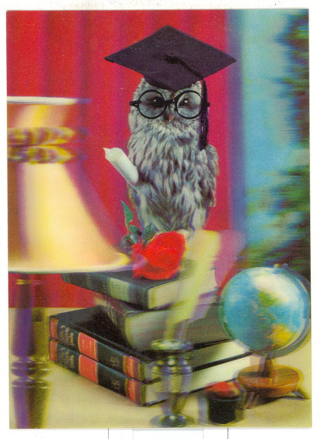 3-D Owl on a Stack of Books - Carey's Emporium