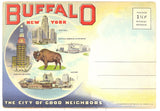 Buffalo, NY, the City of Good Neighbors Souvenir Folder - Carey's Emporium