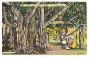 Banyan Tree, St. Petersburg, FL - Carey's Emporium